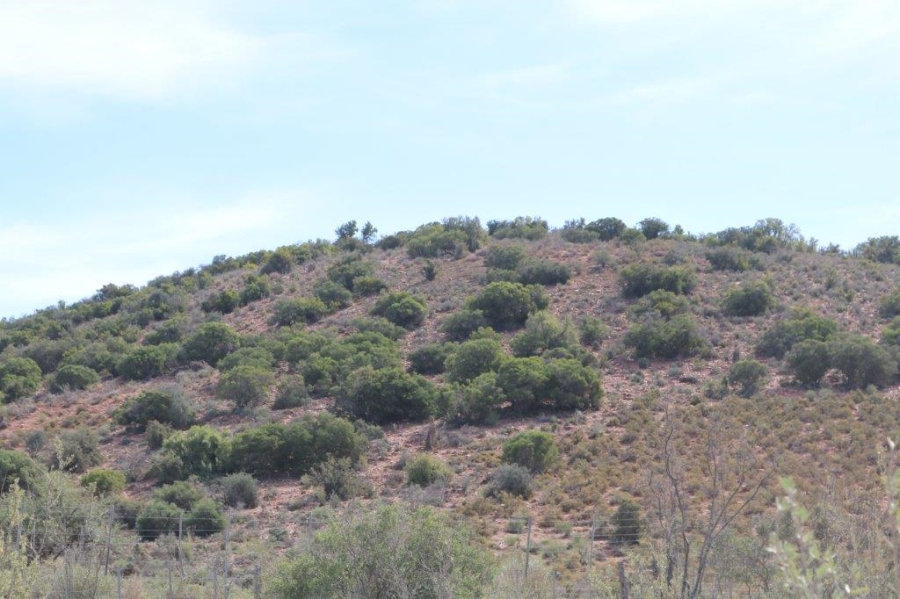 Commercial Property for Sale in Oudtshoorn Rural Western Cape